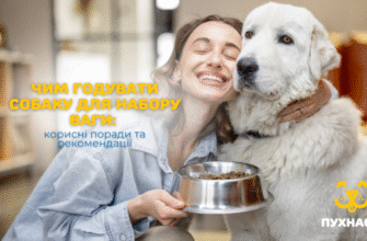 Чим годувати собаку вдома: рекомендації та корисні поради