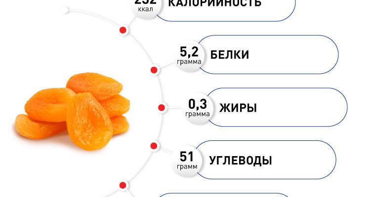 Чим корисна курага: вітаміни, мінерали і здоров’я в кожній ягоді Чим корисна курага: вітаміни, мінерали і здоров’я в кожній ягоді