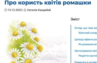 Чим корисна ромашка: унікальні властивості та застосування