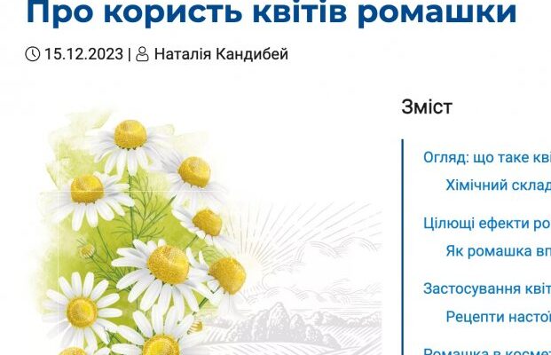 Чим корисна ромашка: унікальні властивості та застосування