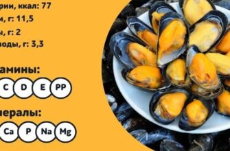 Чим корисні мідії: відкрийте для себе секрети їхнього впливу на здоров’я