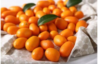 Чим корисний кумкват: основні переваги для здоров’я і самопочуття