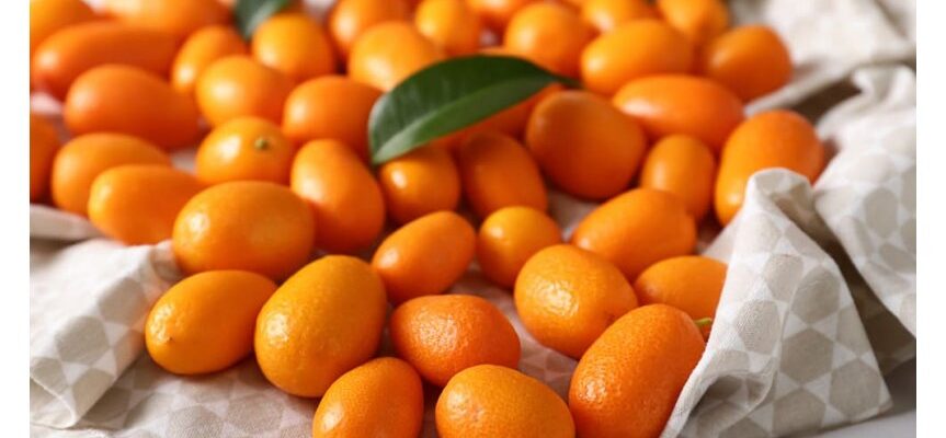 Чим корисний кумкват: основні переваги для здоров’я і самопочуття