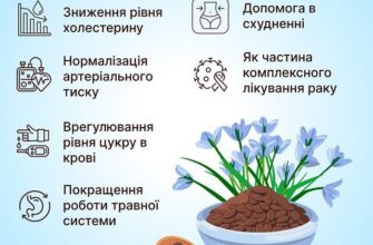 Чим корисний льон для організму: основні переваги та вплив на здоров’я