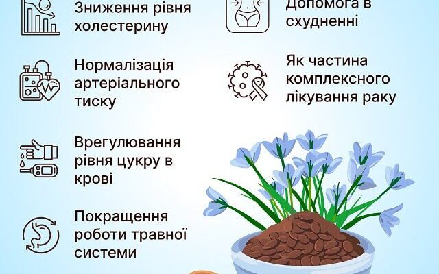 Чим корисний льон для організму: основні переваги та вплив на здоров’я