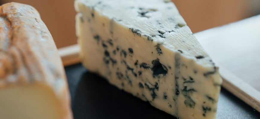 Чим корисний сир: ключові переваги продукту для здоров’я людини