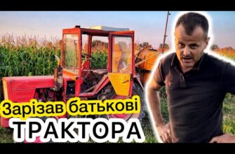 Чим оптимально підживити люцерну весною: корисні рекомендації та поради