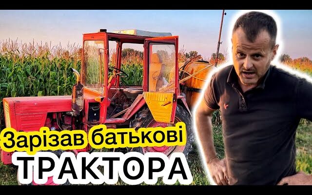 Чим оптимально підживити люцерну весною: корисні рекомендації та поради