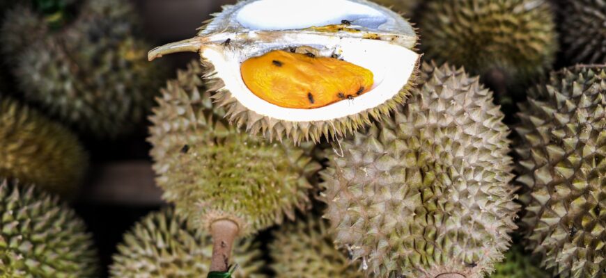 Чим пахне дуріан: розкриваємо таємниці аромату екзотичного фрукта