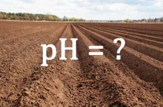 Чим підкислити ґрунт: ефективні засоби для покращення кислотності