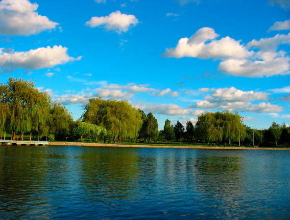 Бровари - Місто