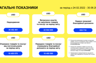 Чим займаються волонтери в Україні: ключові напрямки і проєкти