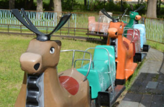 Чим зайнятися у Ковелі: найкращі ідеї для відпочинку та розваг