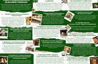 Чим зайнятися у Квасах: найкращі ідеї для відпочинку та розваг