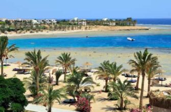 Чим зайнятися в Марса-Алам: найкращі активності та розваги для туристів