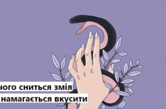 До чого може снитися велика змія: тлумачення сновидінь і значення