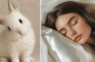 До чого сняться кроленята: значення та тлумачення сновидінь про зайченят