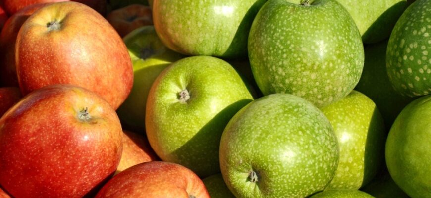 До чого сниться червоний буряк: тлумачення сну та його значення