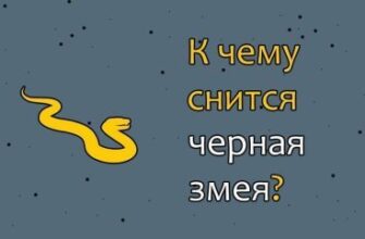 До чого сниться гадюка: значення сновидіння та його тлумачення