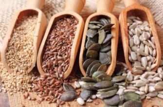 До чого сниться насіння соняшника: значення і тлумачення сну