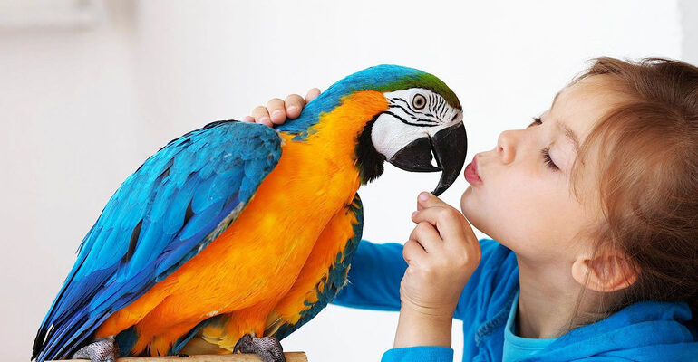 До чого сниться папуга: розкриваємо значення сну з яскравим птахом