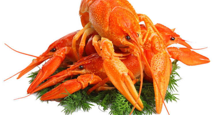 До чого сниться рак: тлумачення снів про раків в різних ситуаціях