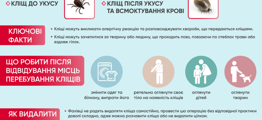 Доксициклін після укусу кліща: ефективність та безпека лікування