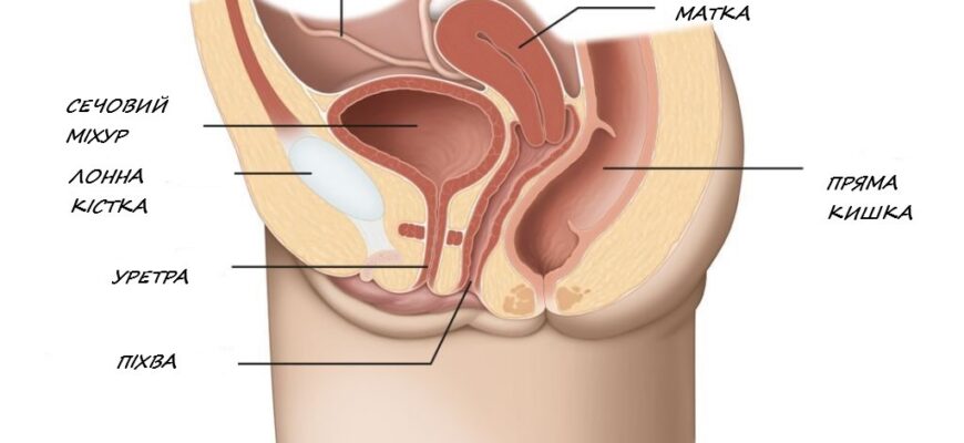 Дискомфорт після сечовипускання: можливі причини та рішення проблеми