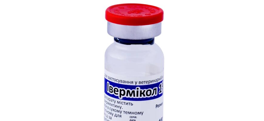 Ефективні ліки для лікування чумки у собак: як обрати найкраще?