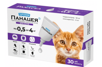 Ефективні ліки для зниження температури у вашого кота: огляд препаратів