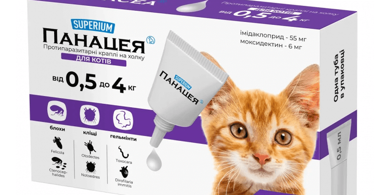 Ефективні ліки для зниження температури у вашого кота: огляд препаратів