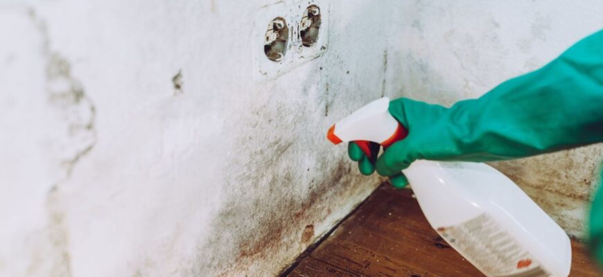 Ефективні методи боротьби з грибком на стінах: поради та засоби