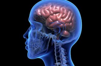 Ефективні методи для швидкого зняття спазму судин головного мозку