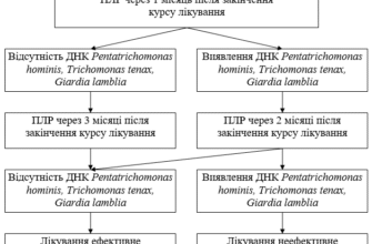 Ефективні методи лікування трихомоніазу: огляд препаратів та рекомендацій