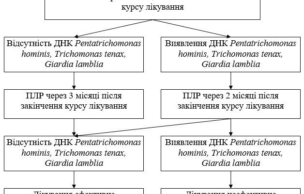 Ефективні методи лікування трихомоніазу: огляд препаратів та рекомендацій