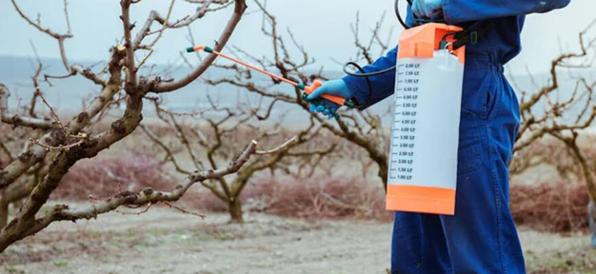 Ефективні методи обробки саду після цвітіння рослин: що потрібно знати