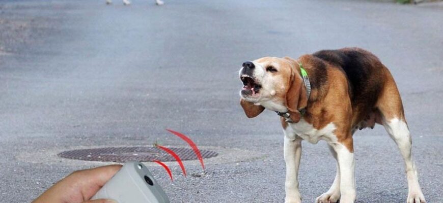 Ефективні методи відлякування собак: поради та рекомендації