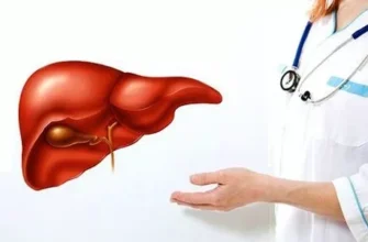 Ефективні методи відновлення печінки після вживання алкоголю