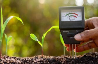 Ефективні методи вимірювання кислотності ґрунту: оберіть найкращий спосіб
