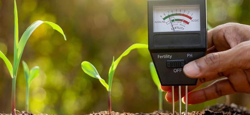Ефективні методи вимірювання кислотності ґрунту: оберіть найкращий спосіб