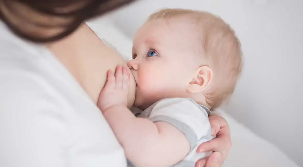 Все про грудне вигодовування — блог медичного центру ОН Клінік