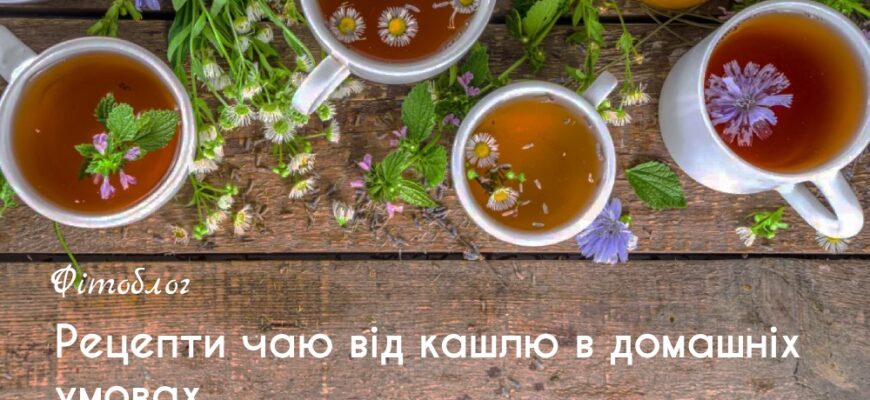 Ефективні народні засоби для лікування кашлю: рецепти та поради