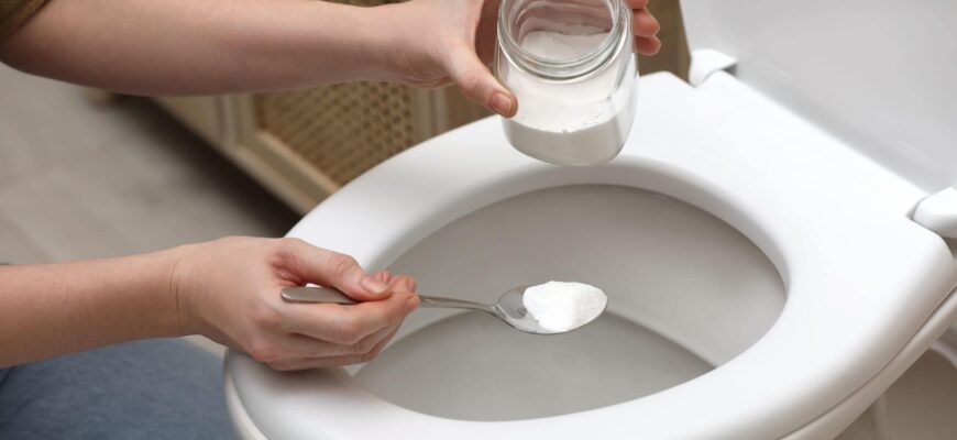Ефективні способи прочистки унітаза: домашні методи та засоби
