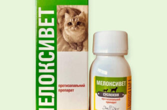Ефективні свічки для зняття болю та запалення: огляд і переваги