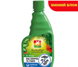 Ефективні засоби для боротьби з кореневою гниллю: чим обробити рослини?