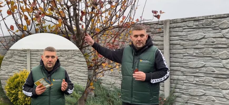 Ефективні засоби для обробки дерев після цвітіння: поради та рекомендації