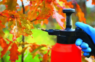 Ефективні засоби для обробки дерев восени: захист та підготовка