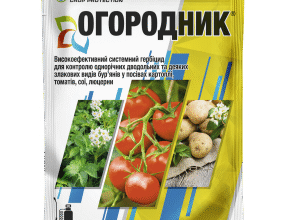 Ефективні засоби для обробки люцерни від бур’янів: захист та догляд