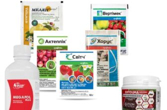 Ефективні засоби для обробки малини від шкідників: поради експертів