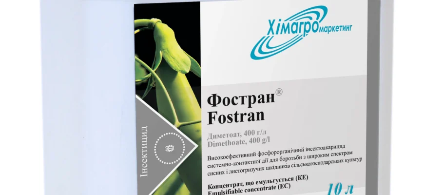 Ефективні засоби для обробки озимої пшениці: що обрати фермеру?